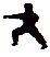 karate kick